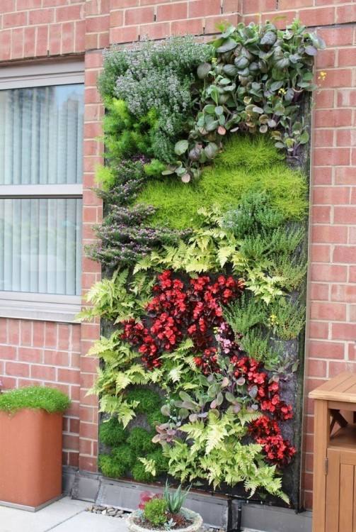 living wall planters outdoor plants