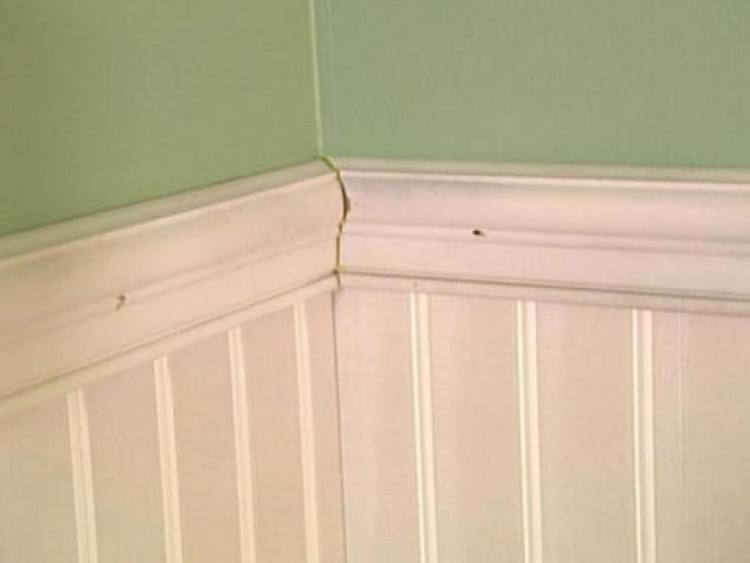 Bathroom with Beadboard walls