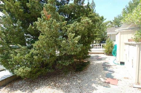 Outdoor shower and walkway to Ponguogue Beach, Hampton Bays, the Hamptons, Long  Island, New York, USA