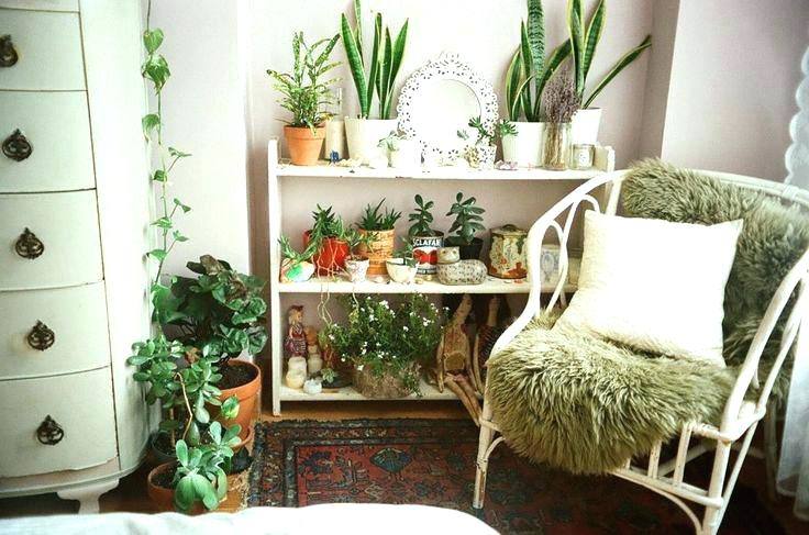 Best Plant For Bedroom Plants In Bedroom Ideas Bedroom Plants Best Bedroom Plants Ideas On Bedroom