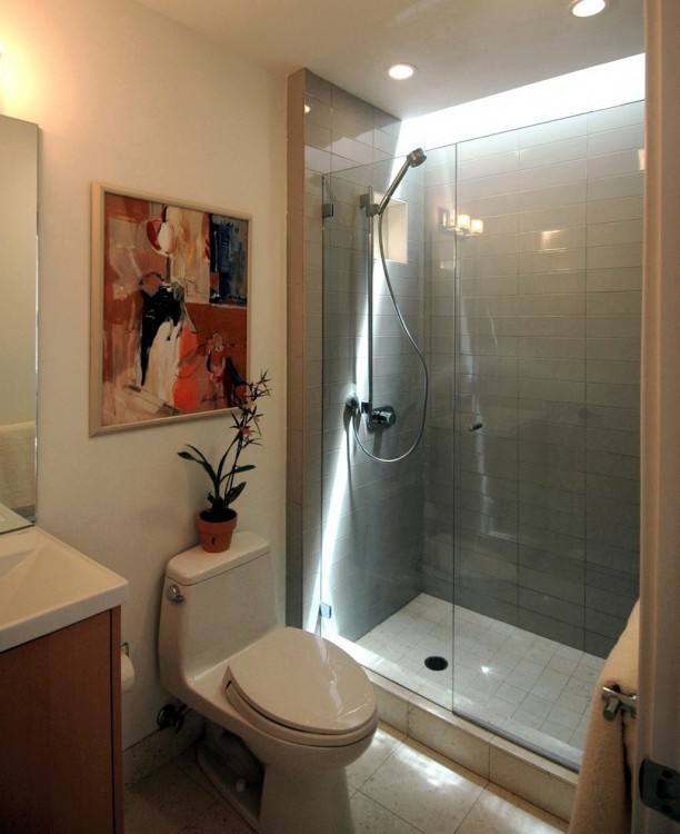 Interesting way to separate shower and bath in a small bathroom
