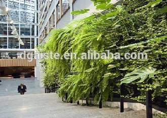 plants for living walls green walls woolly pocket display plants for exterior living walls