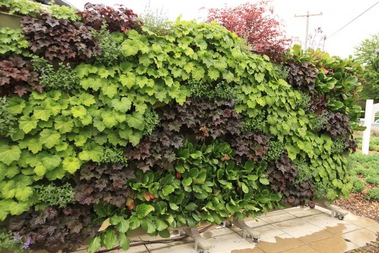 outdoor living wall living wall outdoor wall planter outdoor living wall outdoor garden living wall plants