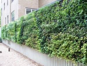 Full Size of Outdoor Living Wall Planters Uk Plants Ideas Street Decorating Scenic Build Indoor Kits