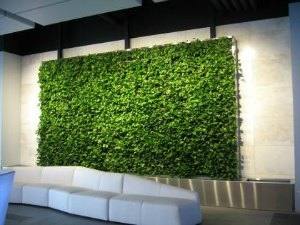 outdoor living wall