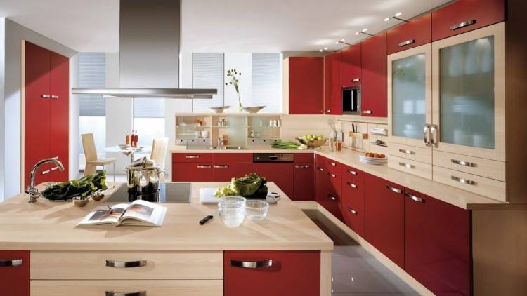 steel kitchen cabinets stainless steel kitchen cabinets with glass doors modern kitchen intended for stainless steel