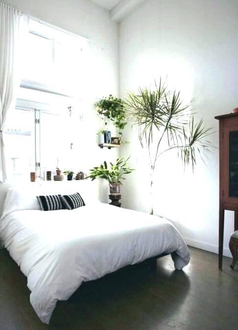 plants for bedroom best plants for bedroom best plant for bedroom minimal interior design bedroom best
